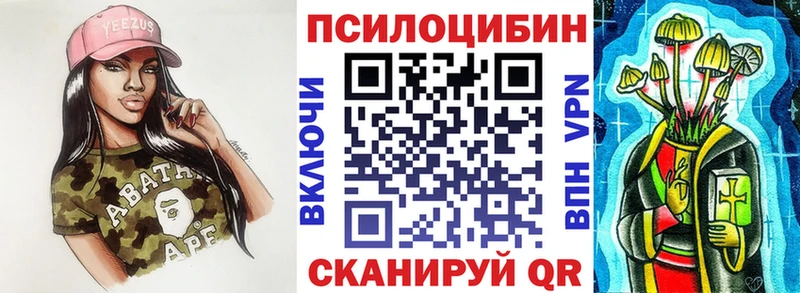 мега вход  Шимановск  Псилоцибиновые грибы Magic Shrooms 